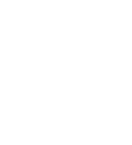 SHOPEE SPECIAL 8.8